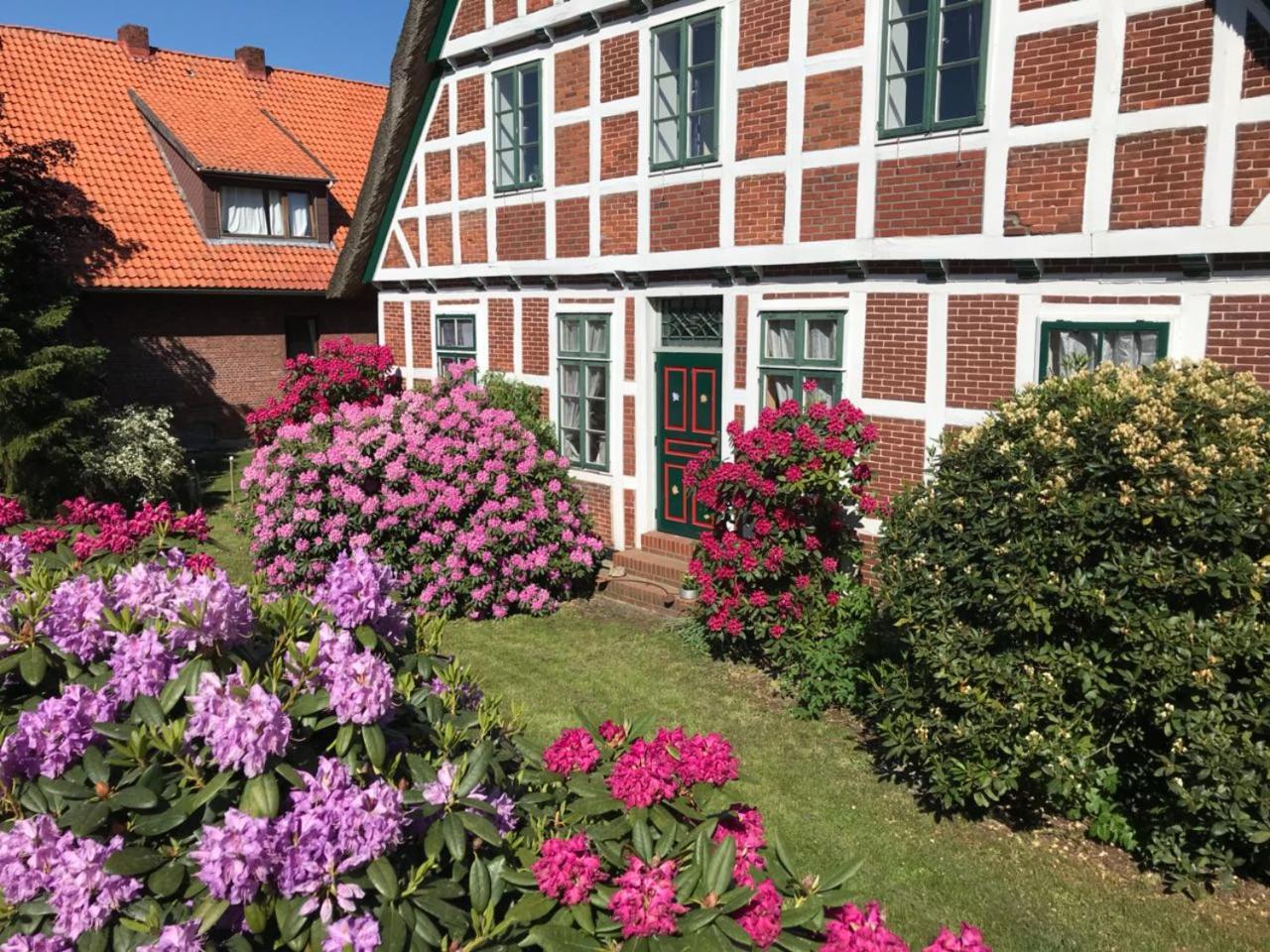 Fraulein Sonntag-gastehaus Pensión Jork